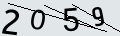 verifycode